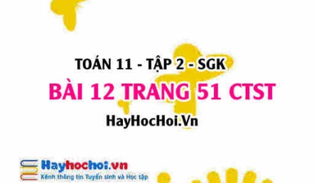 Bài 12 trang 51 Toán 11 tập 2 Chân trời sáng tạo